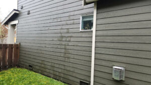 Bayside Exterior Cleaning: Top Rated Exterior Cleaning Service in Olympia