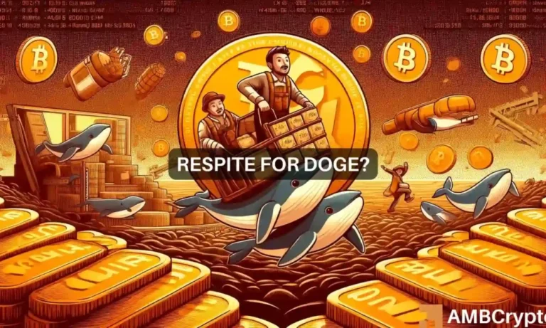dogecoin news about whale purchase 1000x600