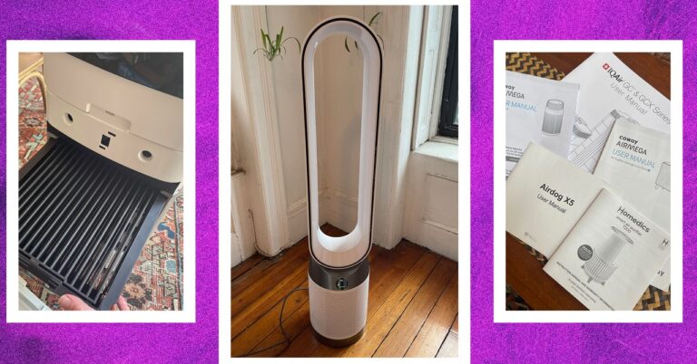 Air Purifier How To Tips Reviewer Collage 072024 SOURCE Lisa Wood Shapiro