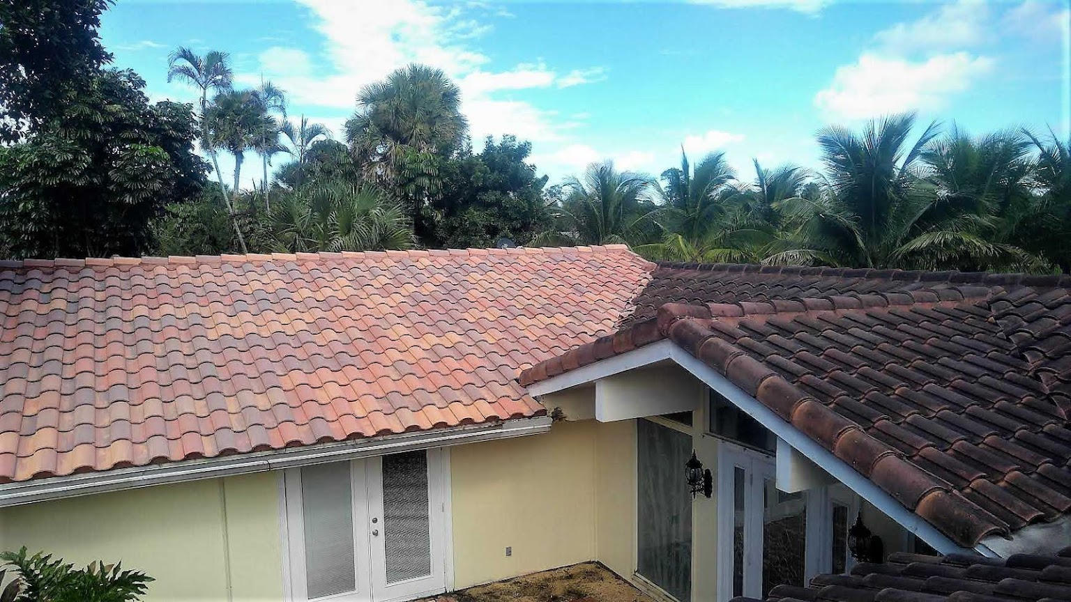 Marlin Softwash: Transforming South Florida Properties with Premier Pressure Washing Services