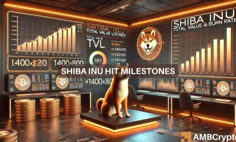 Shiba Inu 1 2 1000x600