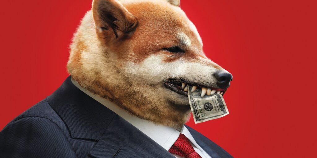 Fortune DOGE Chayka online